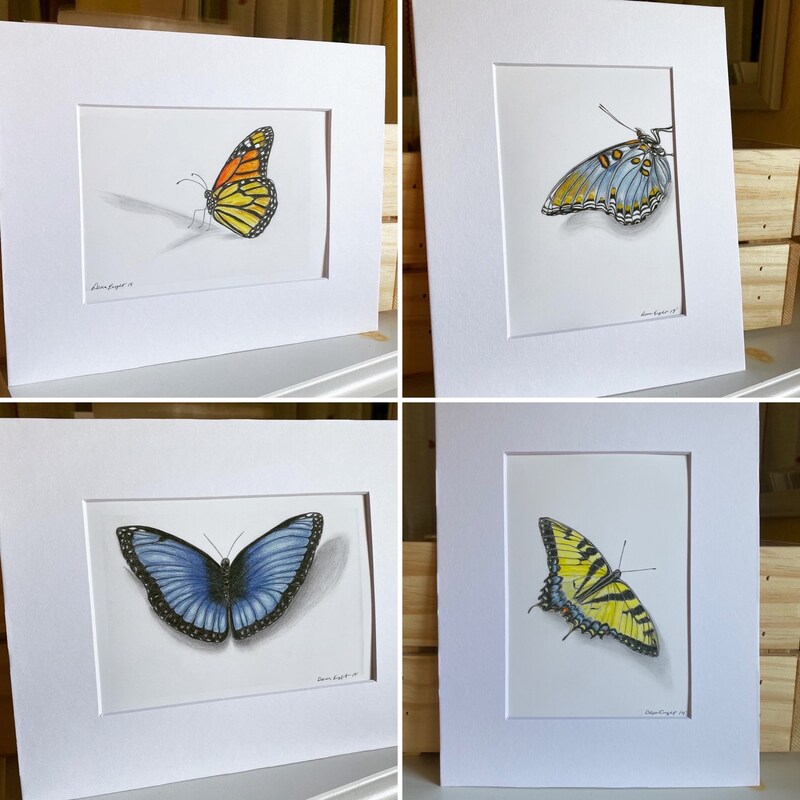 Butterfly art, Butterflies, home decor, wall prints, wall art,